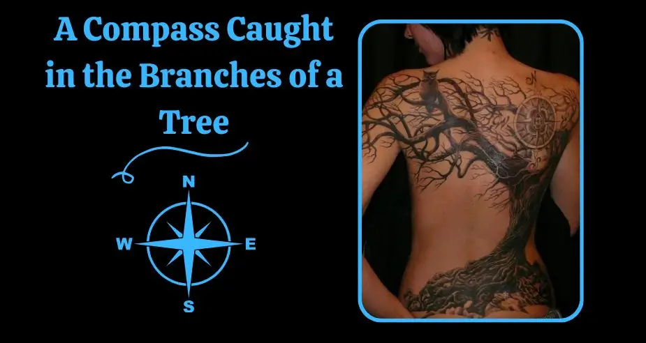 A Compass Caught in the Branches of a Tree