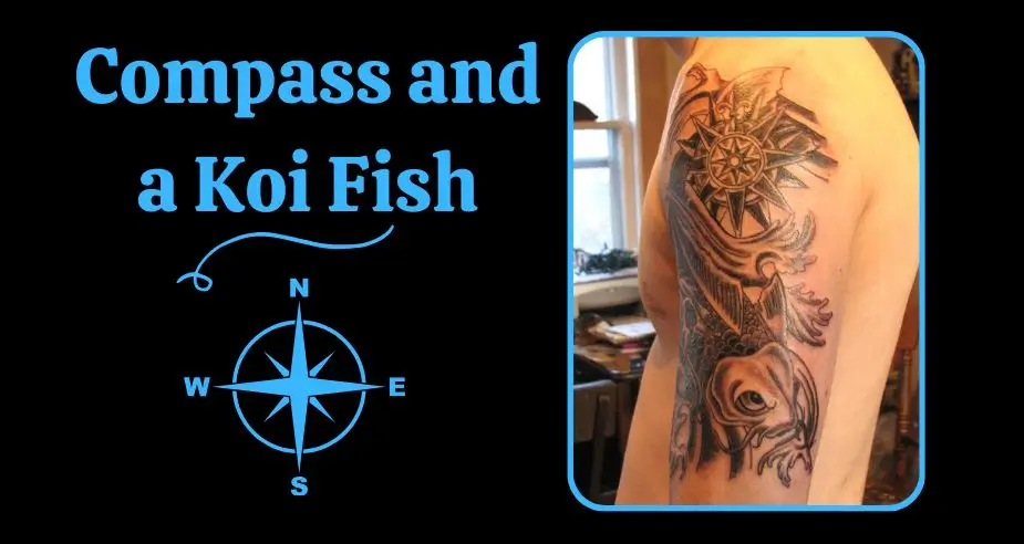Compass and a Koi Fish