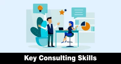 Consulting Skills