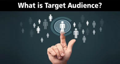 Target Audience