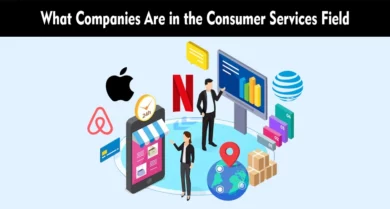 What Companies Are in the Consumer Services Field