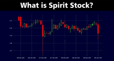 What Is Spirit Stock?